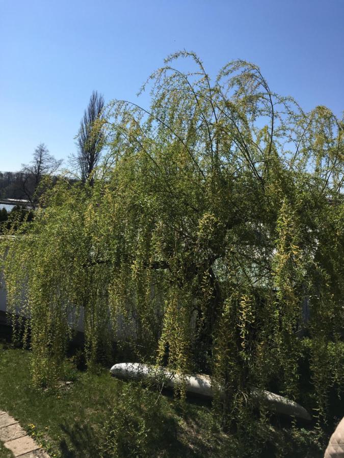 Chata U Rybnika Broumar Opočno Exterior foto