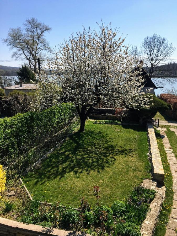 Chata U Rybnika Broumar Opočno Exterior foto